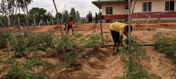 Farming and Gardening