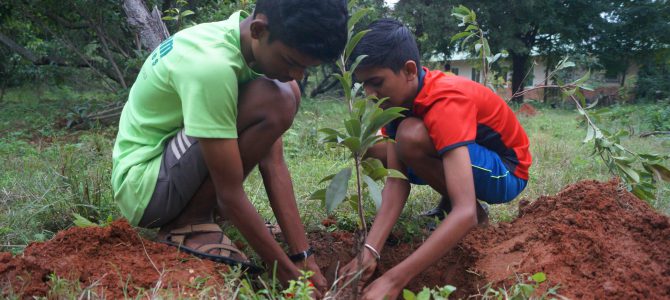 Towards an Eco-Friendly Snehagram